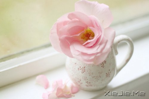 把日子过成诗,简单而精致 (3)