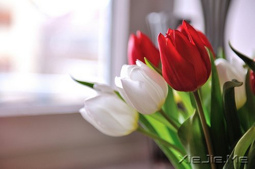 要看清自己,不要看轻自己 (2)