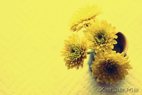 成熟,不是看破,而是看淡 (7)