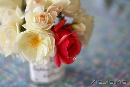 我不怕长大,而是怕你们老去 (7)