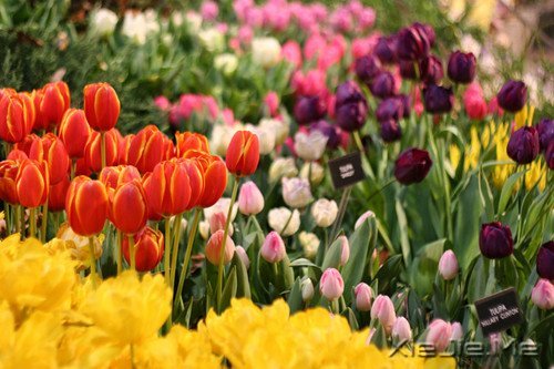 请你善良,无论这世界多冷漠 (7)