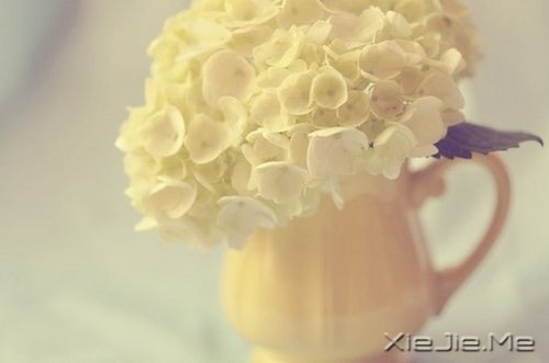 所谓幸福,就是一些不知不觉的小片断 (2)