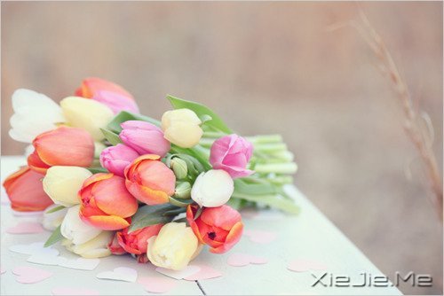 容易衰老的不是容颜,而是不敢进取的心 (5)