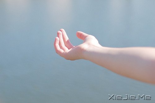 晚安心语:只有想不通的人,没有走不通的路 (7)