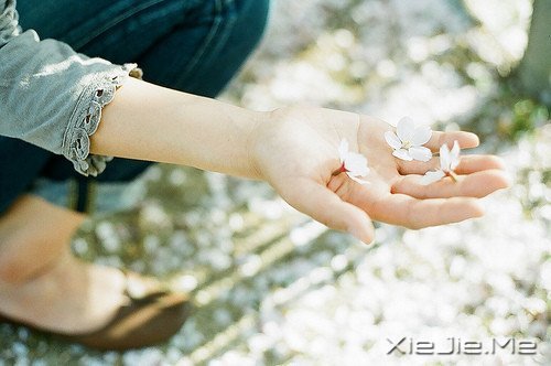 时间不仅让你看透别人,也让你认清自己 (5)