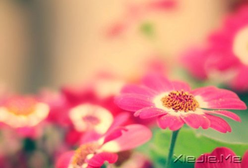 如果时间可以倒退,一切也就不再珍贵 (10)