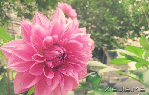 梦想很轻,却因此拥有飞向蓝天的力量 (6)