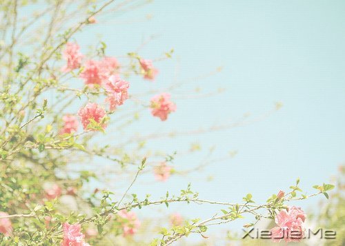 晚安心语:身在万物中,心在万物上 (2)