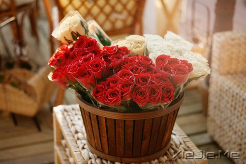 早安心语:不要辜负了美好的晨光 (3)