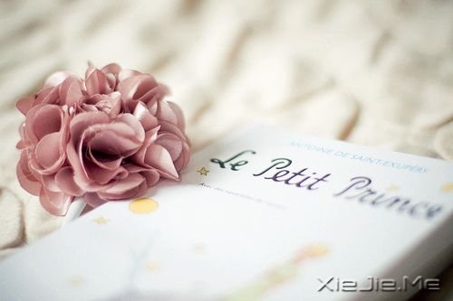 早安心语:人生是一场错过,愿你别蹉跎 (3)