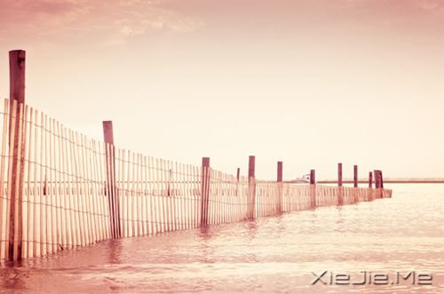 晚安心语:最美好的总会在不经意间出现 (2)