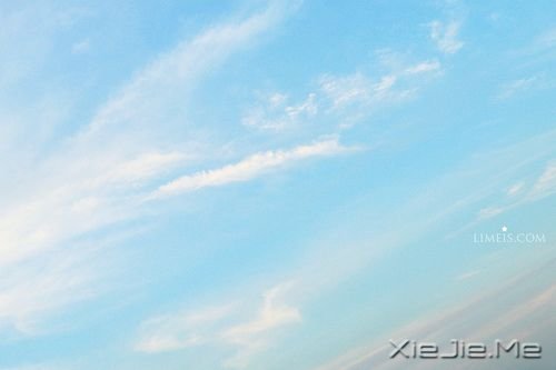 早安心语:请别伤我的心,那里面住的是你 (4)