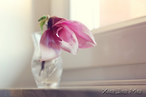 20岁到30岁应该学会的5件事 (5)