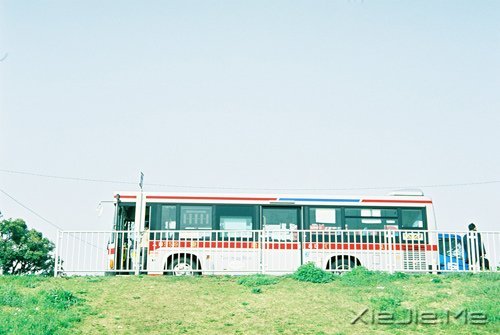 自己喜欢的日子,就是最美的日子 (6)